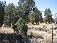 1st image of 6645 Highway 260