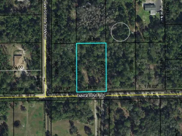 6118 Tangerine Ave, Bunnell, FL 32110