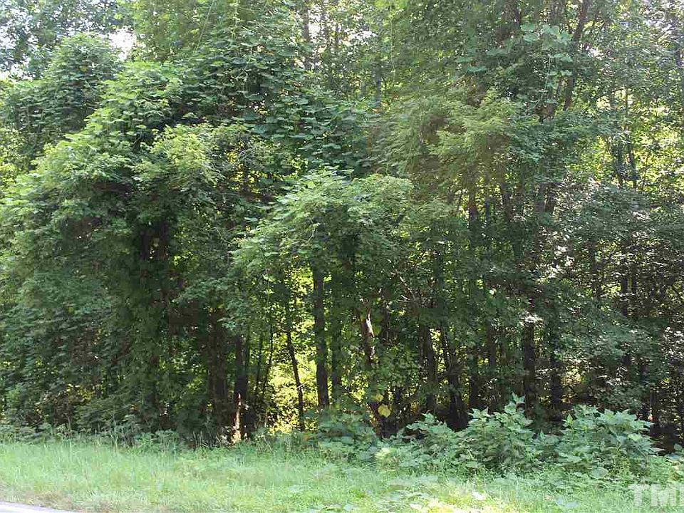 2nd image of 5157 Range Rd