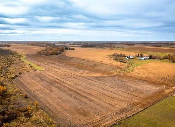 Crop Land: Todd Co: Lower Field - From N looking S'ly