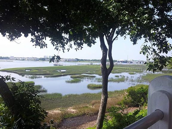 ICW from Deck