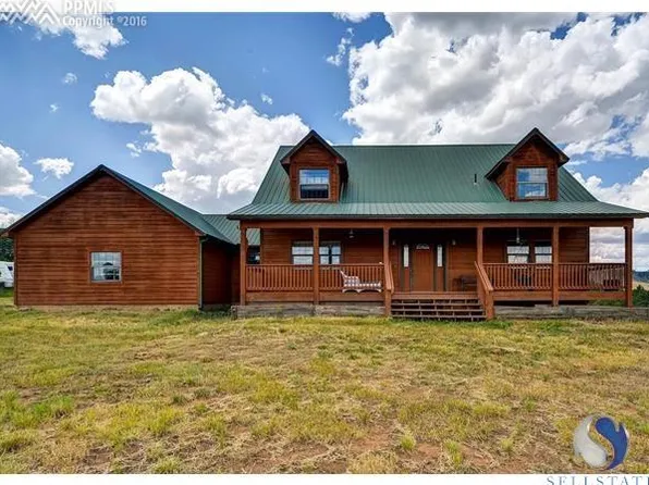 13737 Lisa Ln, Woodland Park, CO 80863