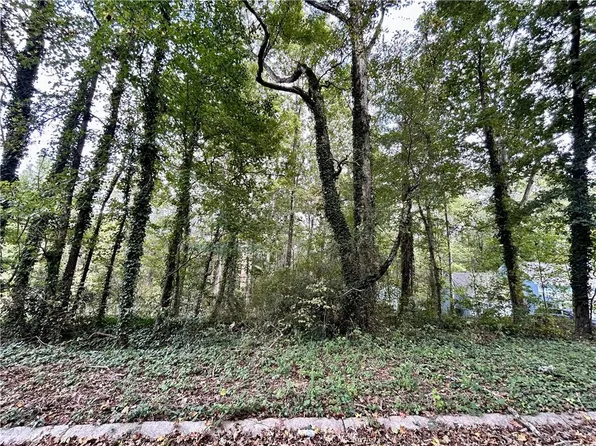 3291 Chesterfield Ct Lot 47, Snellville, GA 30039