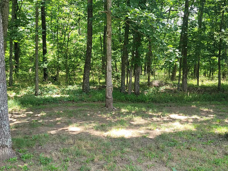 456 Snead Dr — Photo 40