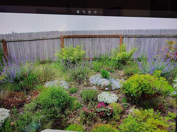 3rd image of 214 95th Ave SE