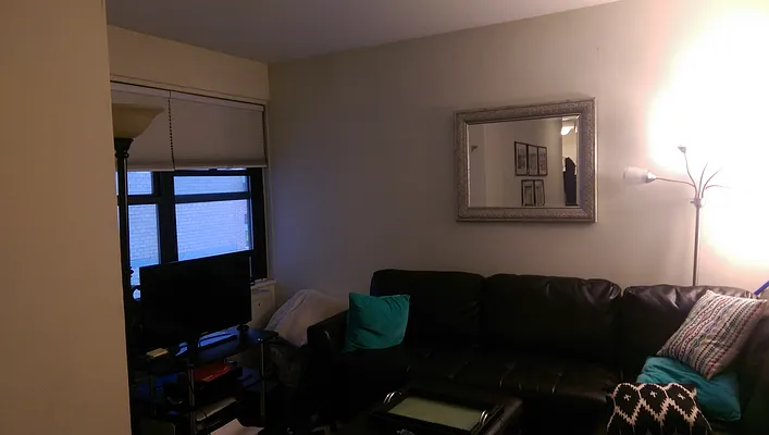 Rented by Manhattan Apartment Organization | media 57