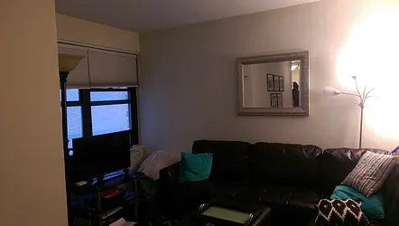 Rented by Manhattan Apartment Organization