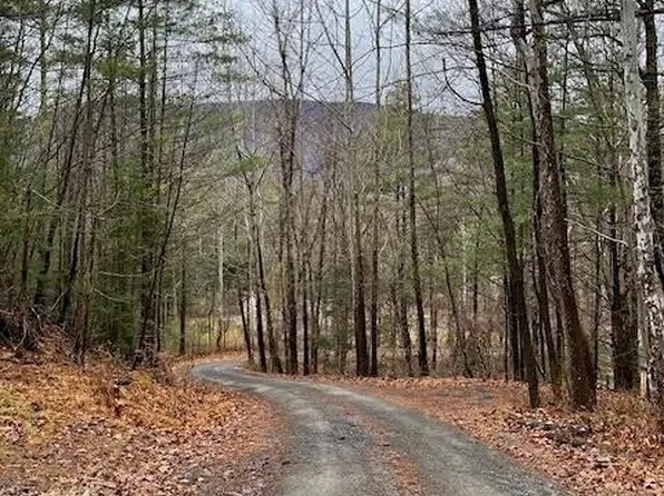 TBD Heintz Road, Mt. Tremper, NY 12457