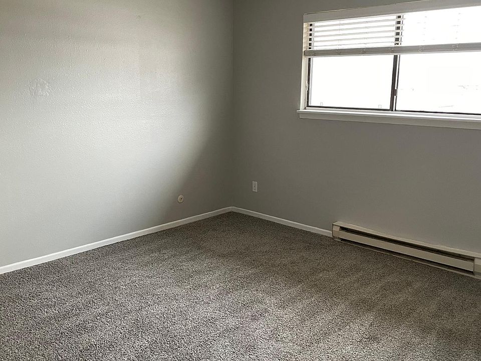 Living room with brand new carpet