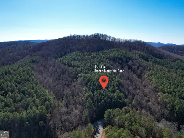 0 Reece Mountain Rd #E17, Ellijay, GA 30536