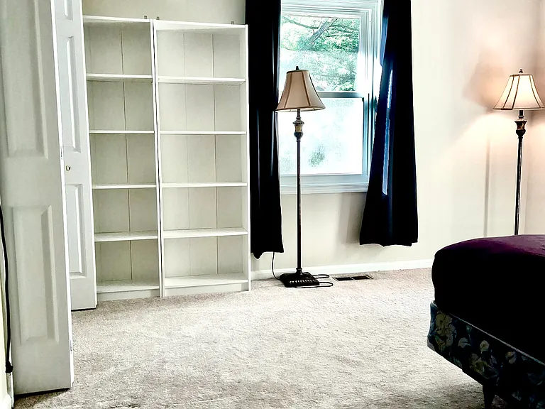 This spacious, fully furnished private room is ideal for working professionals seeking a comfortable and secure living space. It features a scenic nature view, ample natural light, and modern furnishings including a bed, wardrobe, dedicated workspace, lig