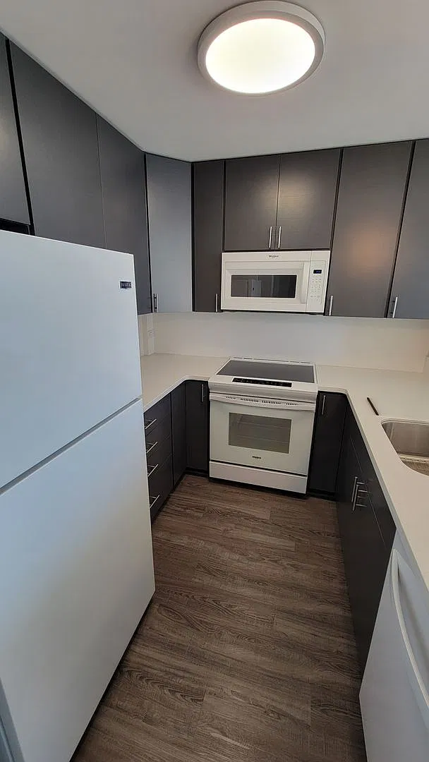 Pearl Two, Fully Remodeled 1 Bedroom Condo For Rent — Photo 2