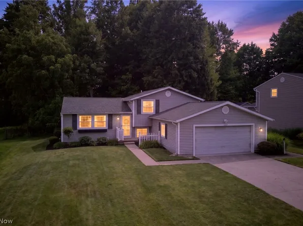 1664 Tinkers View Dr, Twinsburg, OH 44087