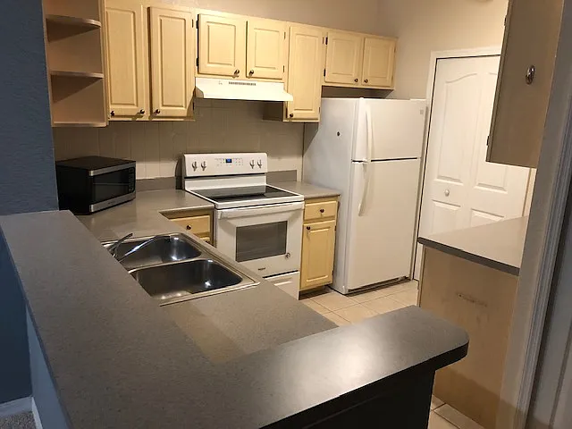 1175 Lake Shadow Cir #4207 — Photo 6