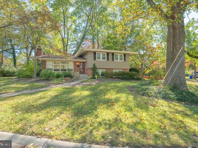 1006 Strout St, Silver Spring, MD, 20901