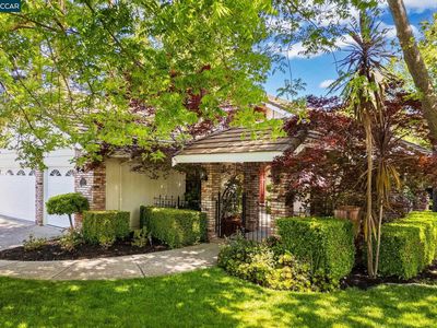 230 Live Oak Dr, Danville, CA, 94506