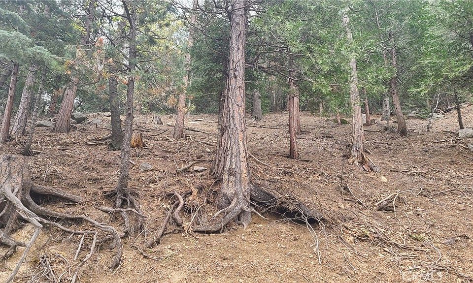 60 Lausanne Dr Crestline, CA Zillow Apartments for Rent in Crestline