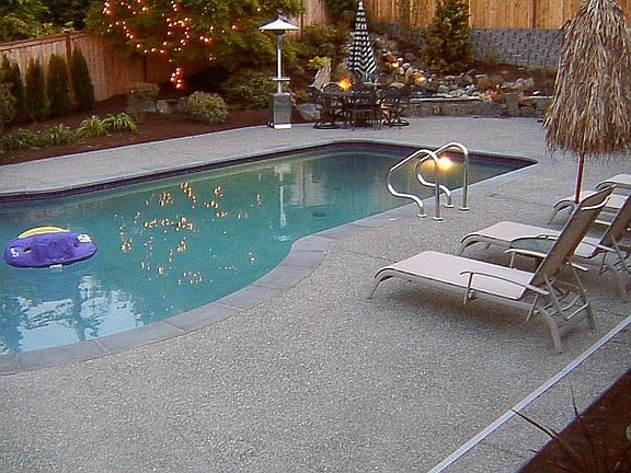 Back Yard Pool