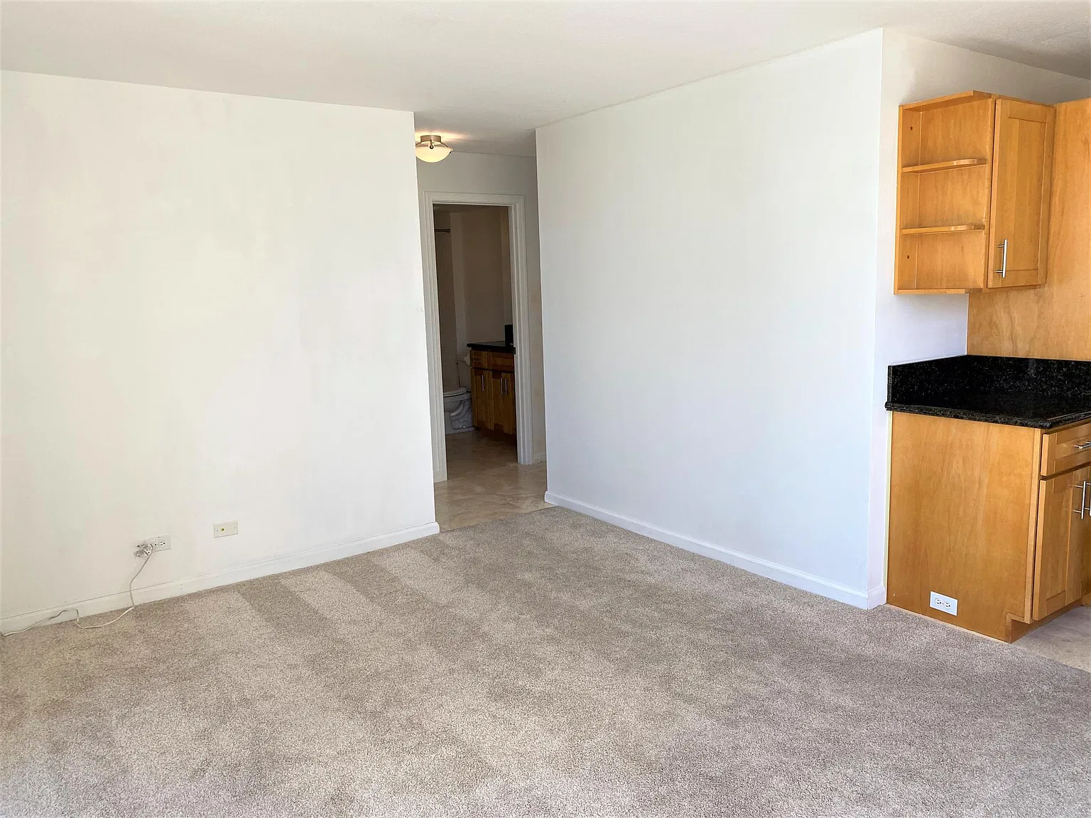 1 bed, 585 sqft, $2,400 — Photo 4