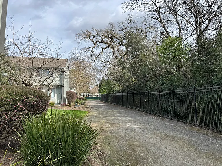 314 Harvest Ln — Photo 16
