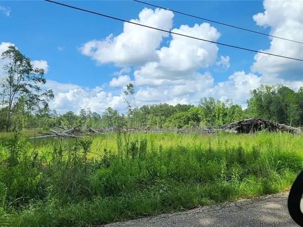 23163 Old Columbia Rd, Angie, LA 70426