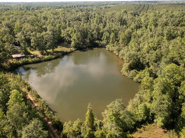 262X State Highway 216, Cuthbert, GA 39840