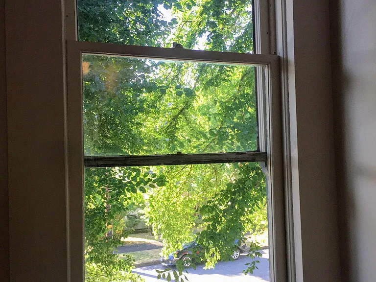 This is the window on the side of the room facing the street. New double paned windows have been installed (not pictured here). The tree has had a winter haircut since this photo but it grows back like this each Spring & in the summer provides great shade