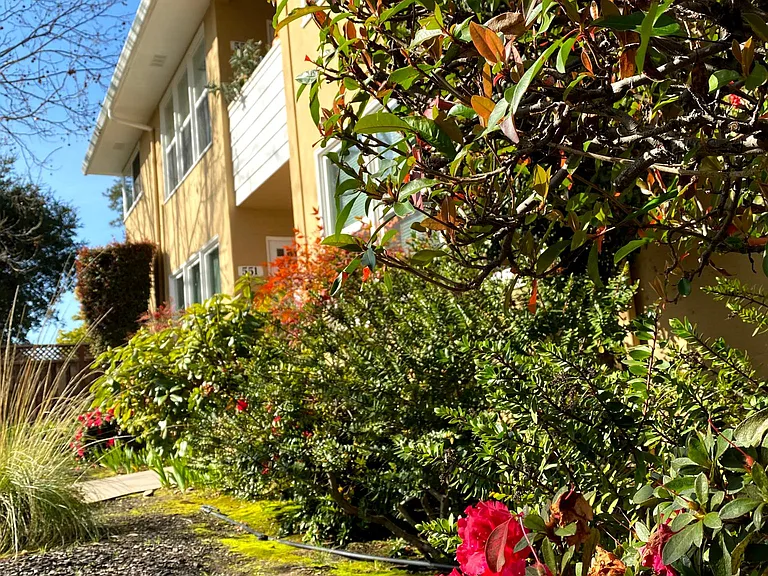 555 Miramonte Ave — Photo 17