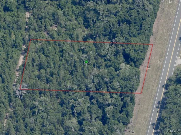5646 N Carl G Rose Hwy, Hernando, FL 34442