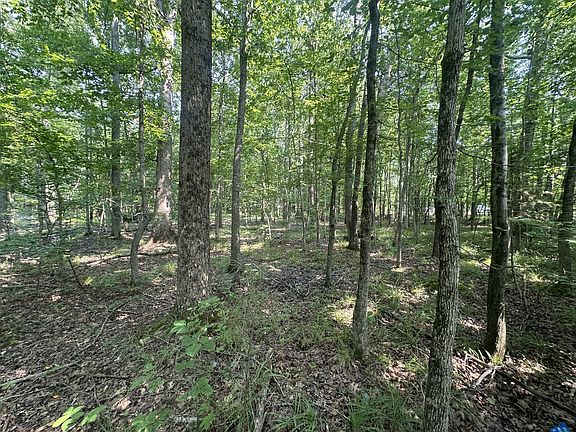 3rd image of 0 S Pinson Dr