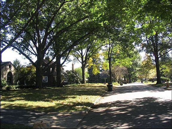 View of the Kingslea road