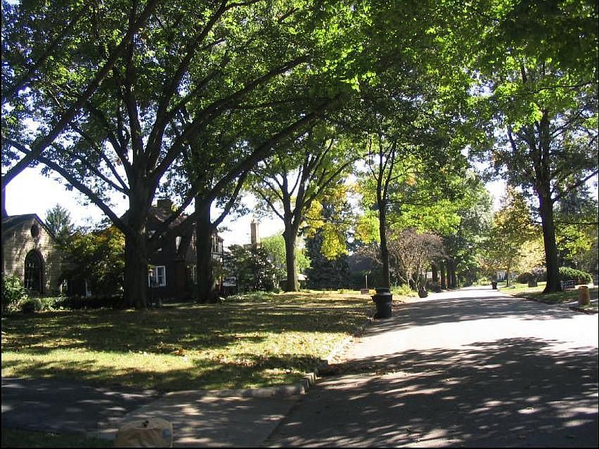 View of the Kingslea road