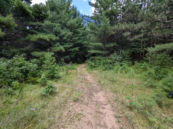 LOT 5 Fosmo Dr, Webster, WI 54893