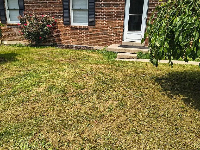 136 Ashville Dr — Photo 10