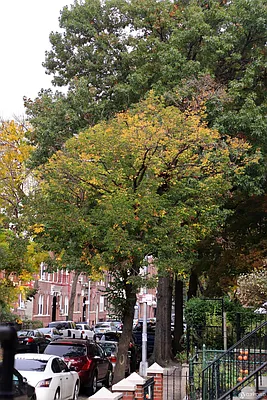 Rented by Oxford Property Group | media 10