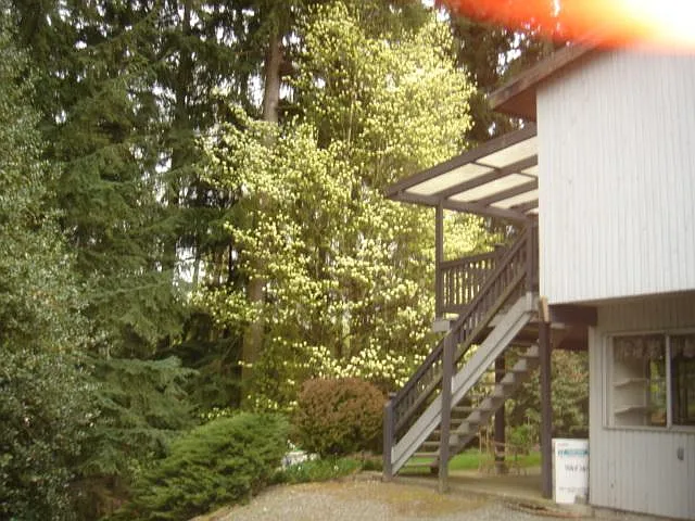 5136 128th Ave SE — Photo 10