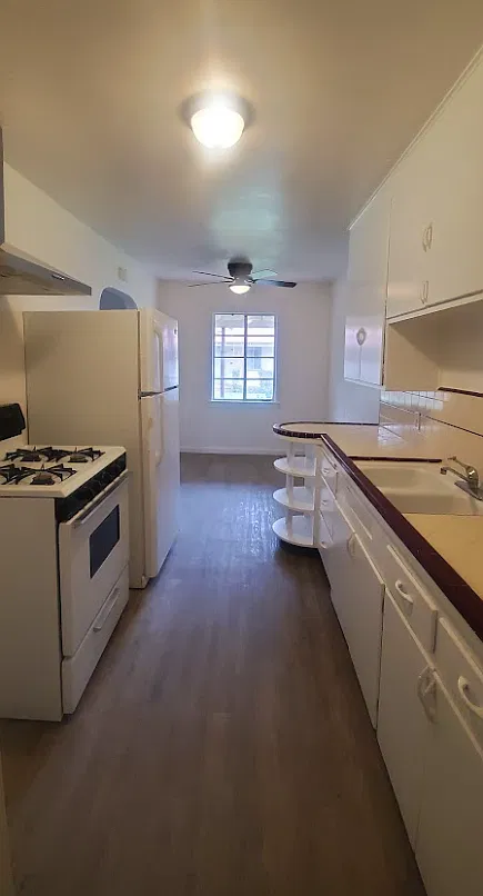 1 bed, $1,295 — Photo 3