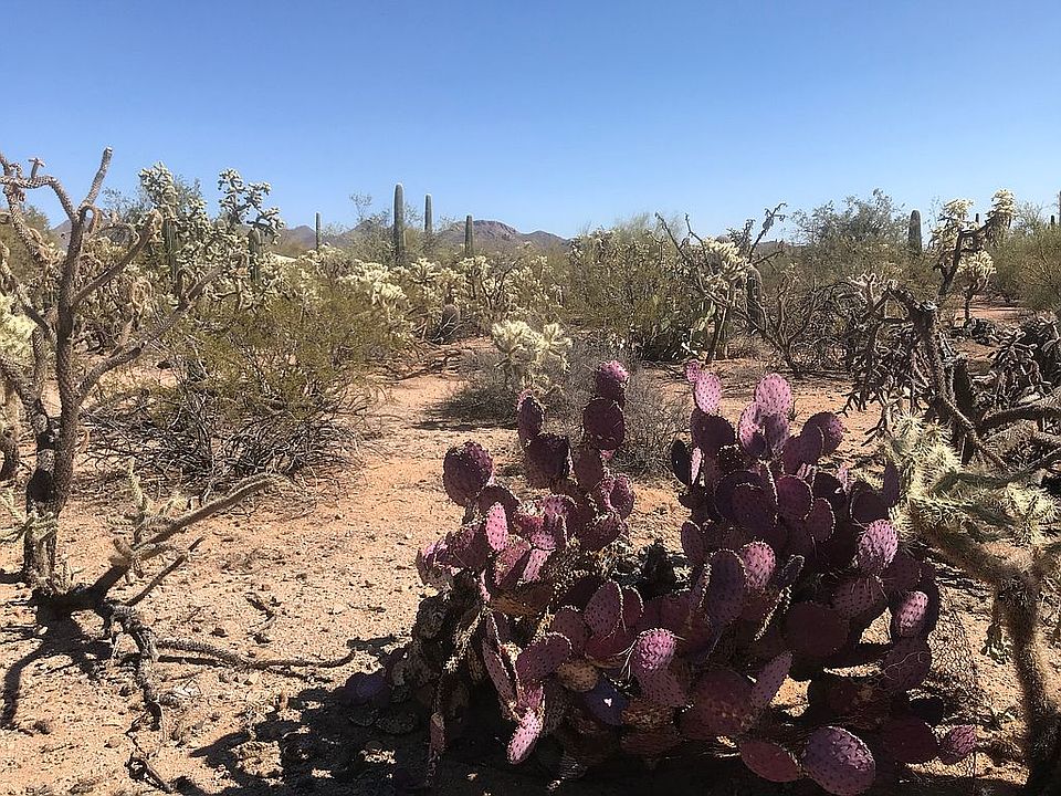 Tucson Ranchettes Drive 12410 W Ranchettes Dr Tucson AZ | Zillow