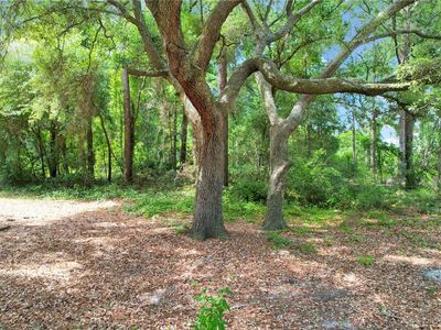 0 Robin Ln E, Jesup, GA, 31545