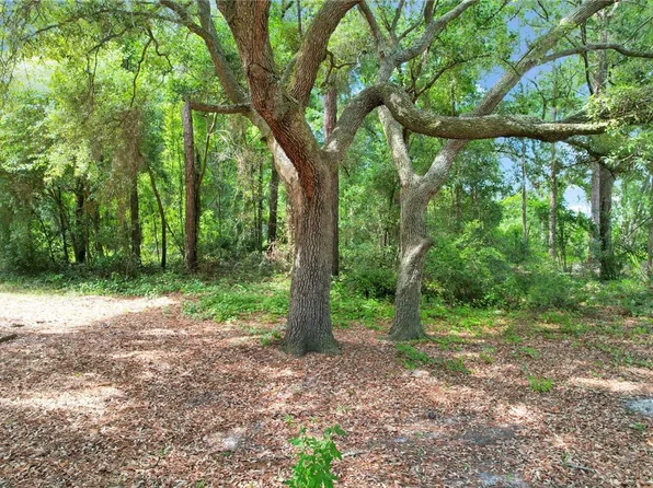 0 Robin Ln E, Jesup, GA 31545