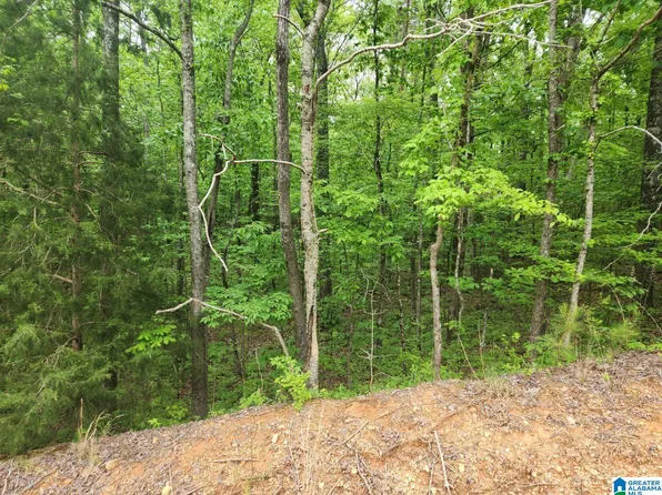 0 Deer Chase Rd, Mc Calla, AL 35111