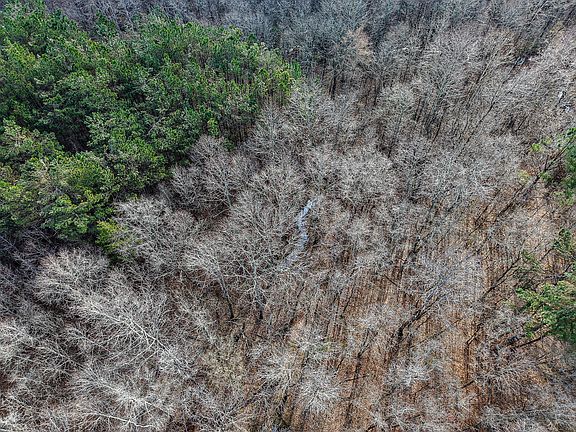 3rd image of 0 Goodfood Rd