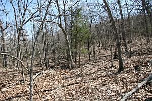 2nd image of 19 Terrapin Rd #73