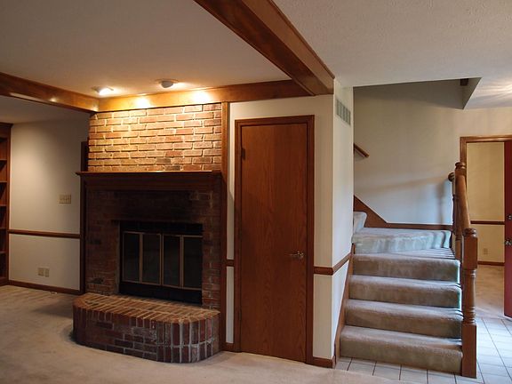 Wood-burning fireplace