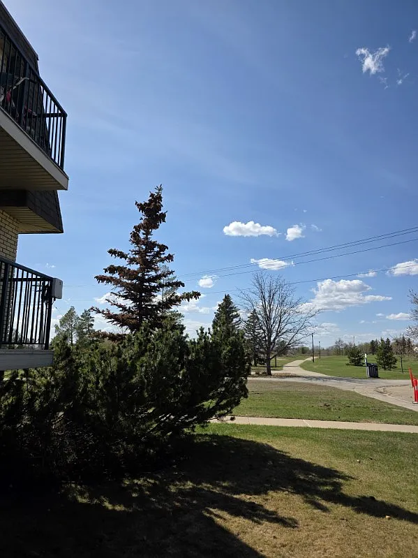 Lakeside Chateau Apartments — Photo 4