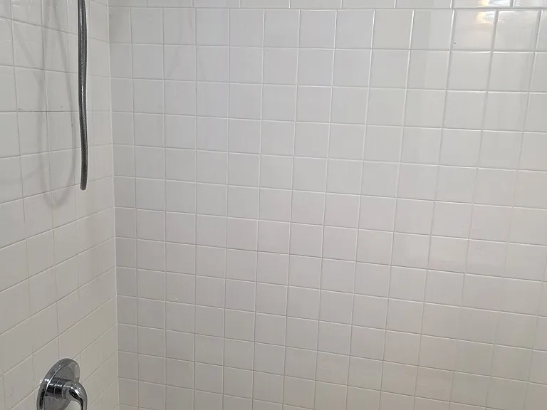 Master bath and shower