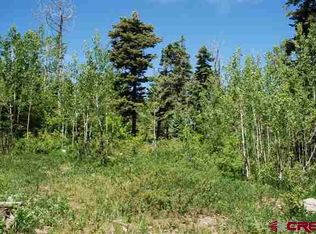 X Cold Springs Ct, Pagosa Springs, CO 81147