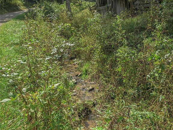 3rd image of 10281 White Oak Rd