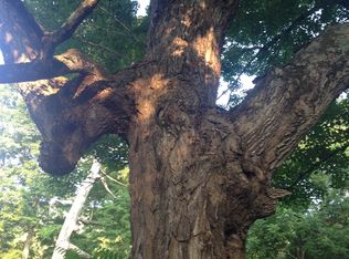 Basore Rd, Mathias, WV 26812