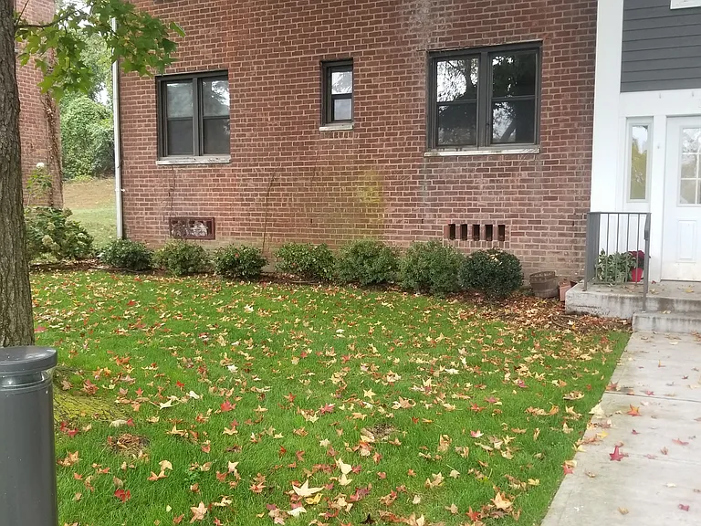 Cooper Dr — Photo 13
